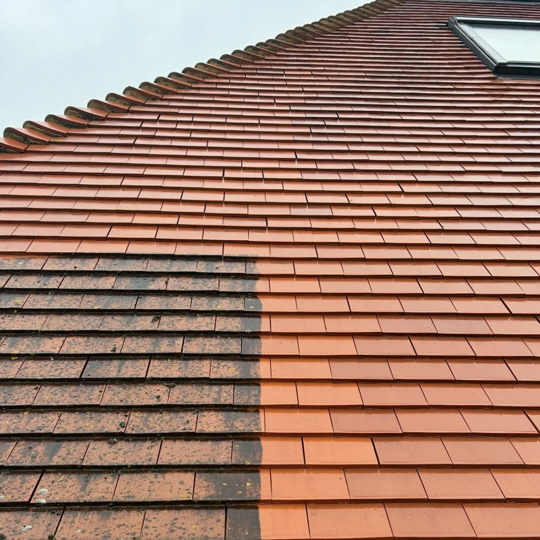 roof-50-3