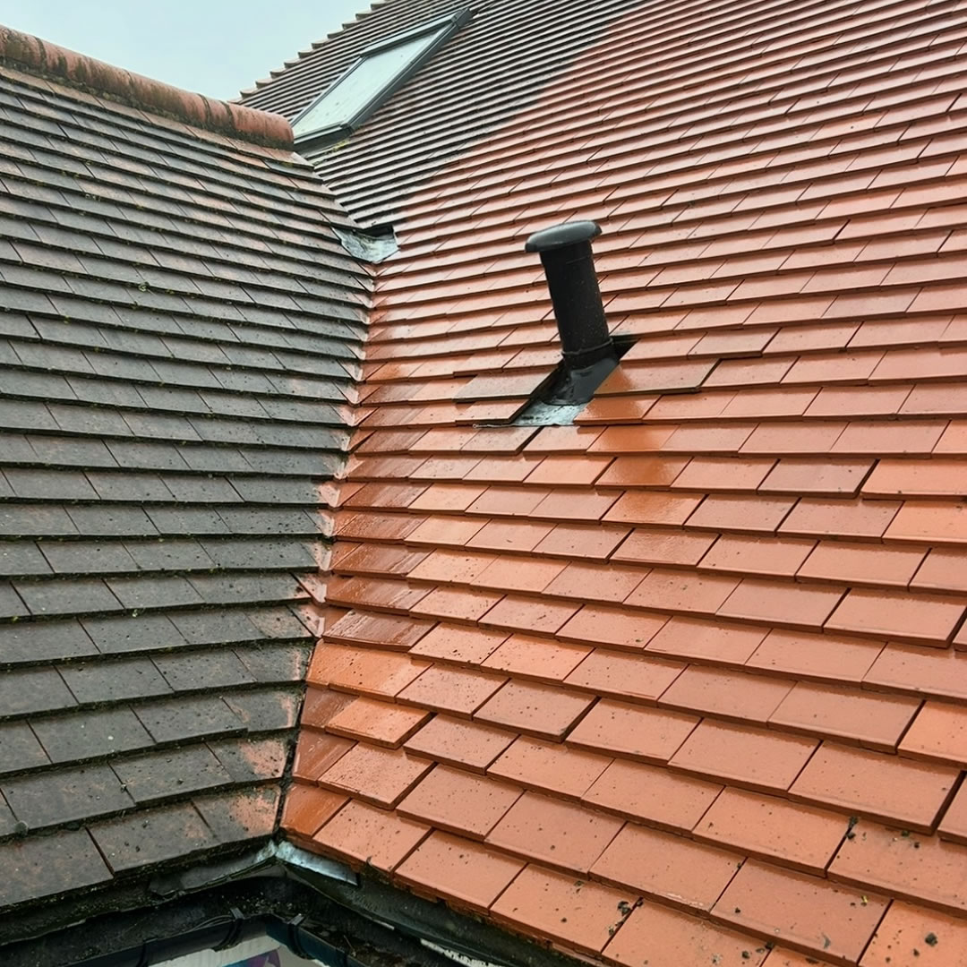 roof-50-4
