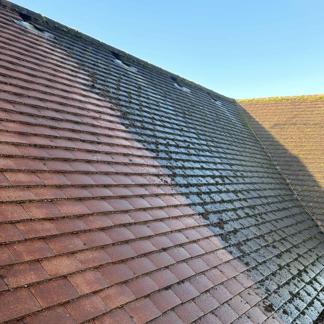 roof-50-5